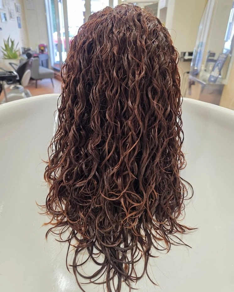 Haircut professionale 1